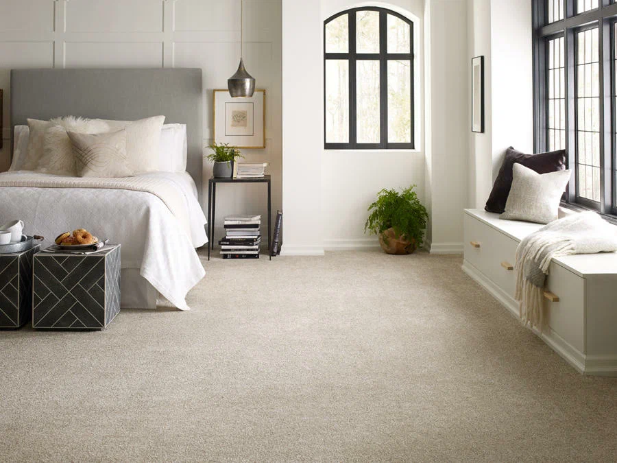 Cream Color Wall with grey carpet