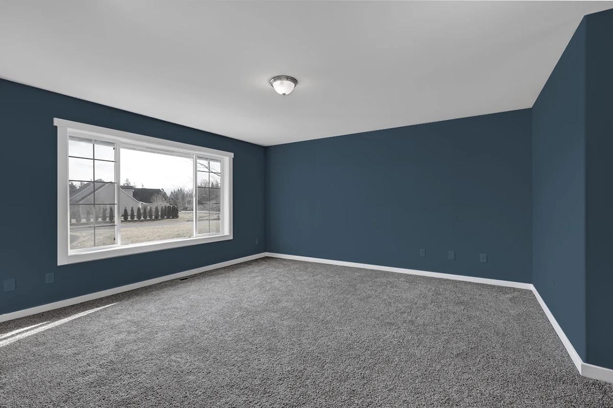Navy Blue Color Wall With Grey Carpet